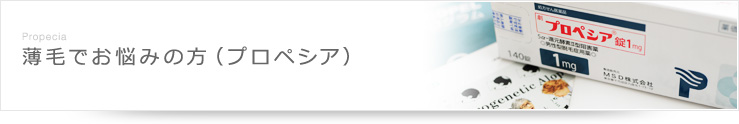 薄毛でお悩みの方（プロペシア）