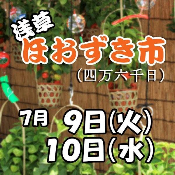 浜松町第一クリニック上野院　 朝顔