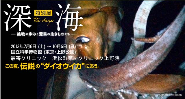 浜松町第一クリニック上野院　 ダイオウイカ展